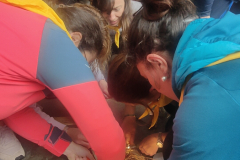 IMG20230401161527_01