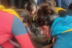 IMG20230401161528_01