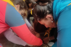 IMG20230401161537_01