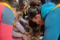 IMG20230401161539_01