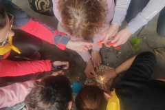 IMG20230401161616_01