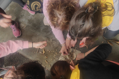 IMG20230401161620_01