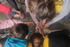 IMG20230401161620_03