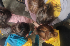 IMG20230401161622_01