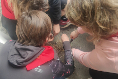 IMG20230401161644_01