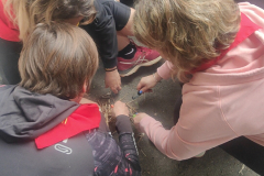 IMG20230401161644_03