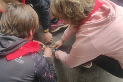 IMG20230401161645_01