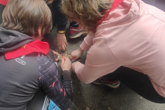 IMG20230401161646_01