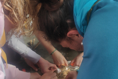 IMG20230401161757_01