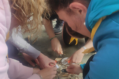 IMG20230401161801_01