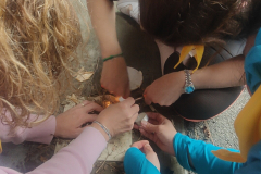 IMG20230401161916_01