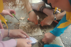 IMG20230401161957_01