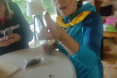 IMG20230401163354_01